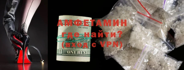 индика Надым
