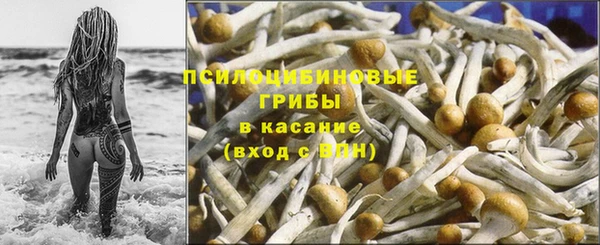 бошки Абдулино