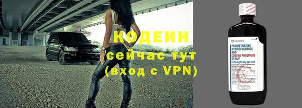 индика Надым